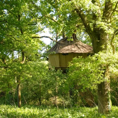 Cabane dans les arbres du Parc Alicourts