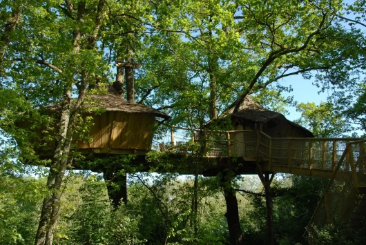 La Cabane Marouet dans les arbres