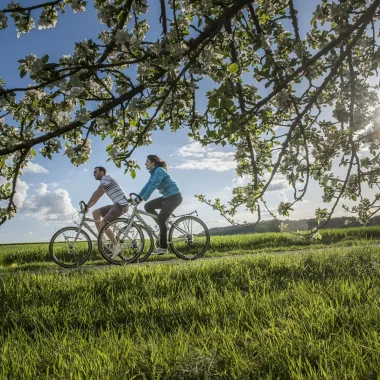 Balade à vélo au printemps