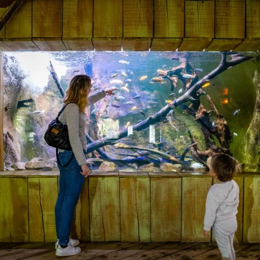 Une femme au Grand Aquarium de Touraine