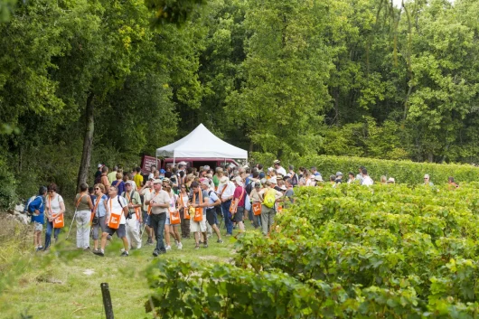 Point de départ d'une randonnée dans les vignes lors de Vignes Vins Randos