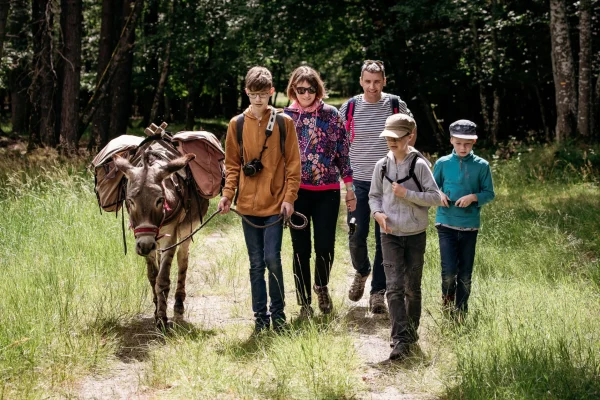 Balade en famille avec un âne