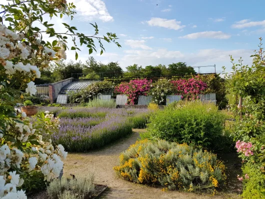 Le jardin de la Bussière