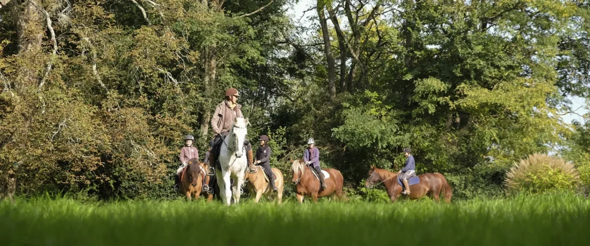 Groupe de personnes à cheval en forêt