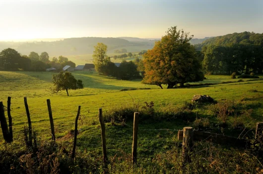 Vue sur la campagne bucolique du Perche