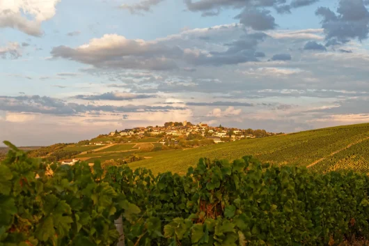 Vue sur le piton de Sancerre avec les vignobles au 1er plan