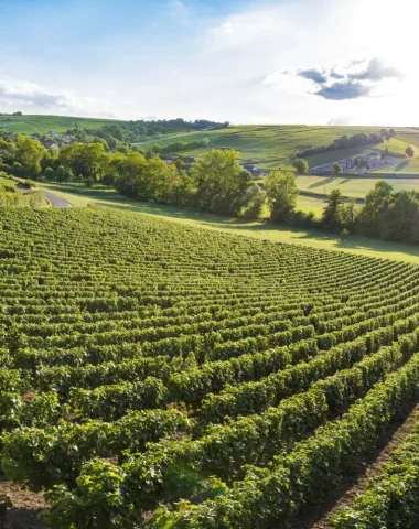 Vue plongeante sur les vignobles de Sancerre par un temps ensoleillé