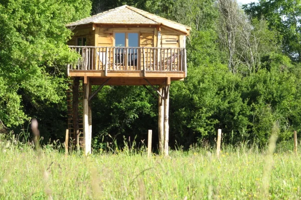 Cabane dans les arbres au Family Ecolodge