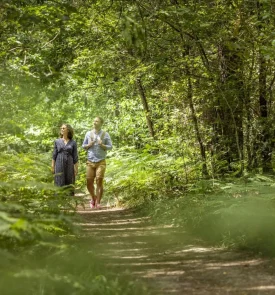 Un couple marche sur un sentier en pleine forêt de Senonches