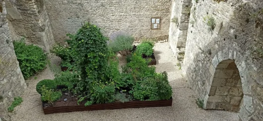 Jardin médiéval à la forteresse de Yèvre-le-Châtel
