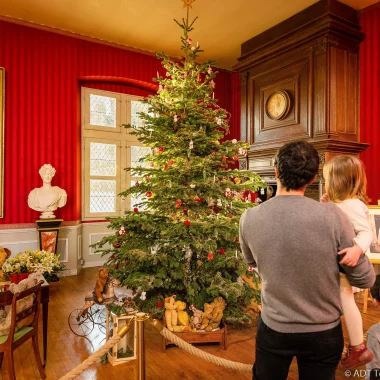 Famille devant le sapin au chateau