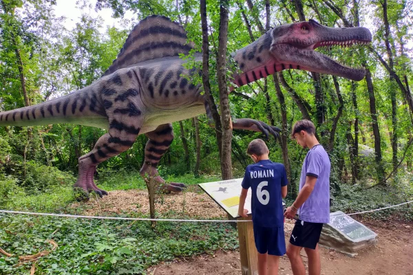 Dashanpu parc des dinosaures au château de Selles-sur-Cher