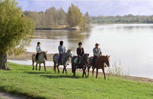 groupe de personnes à cheval