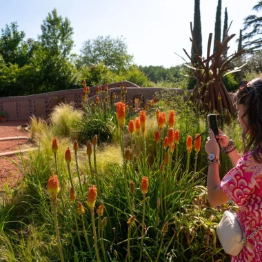 Les jardins pour terrain de jeu
