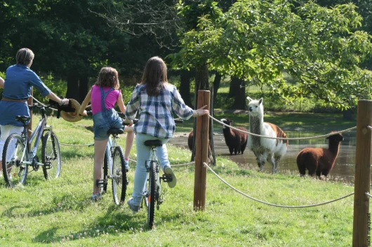 10 parcs d’attractions et de loisirs incontournables du Val de Loire