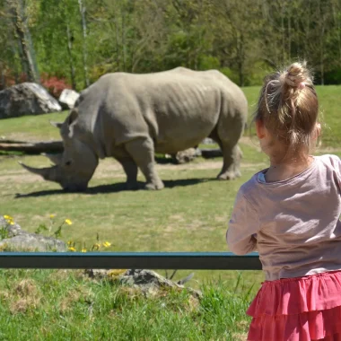 Les meilleurs parcs animaliers du Val de Loire pour les familles