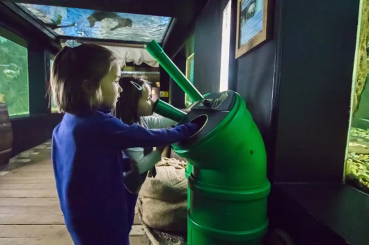 Les meilleurs parcs animaliers du Val de Loire pour les familles