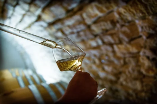 Vignobles en scène