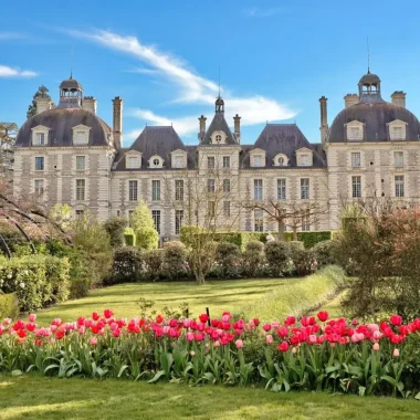 Château de Cheverny et tulipes