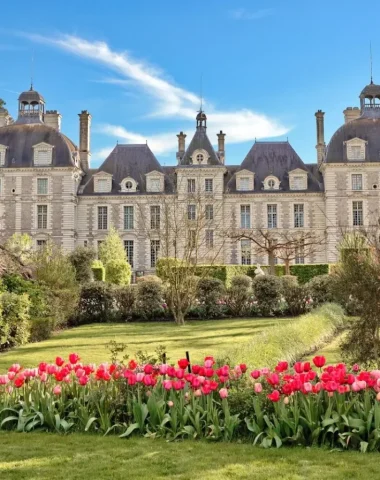 Château de Cheverny et tulipes